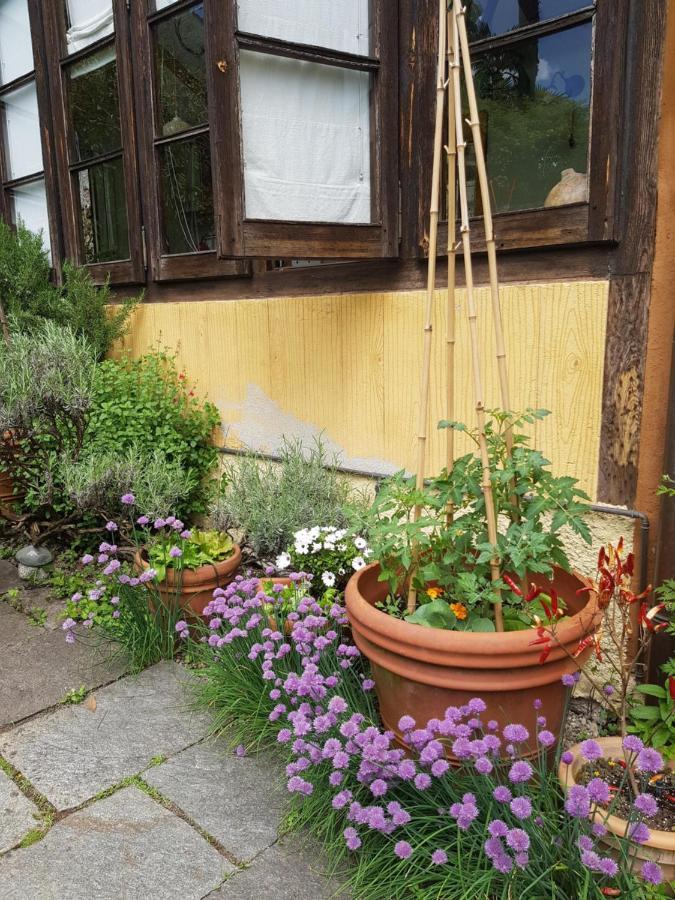 Ca Balossa, Tremezzina Lago Di Como Davanti A Bellagio E Villa Balbianello Mezzegra Eksteriør billede
