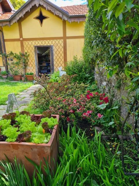 Ca Balossa, Tremezzina Lago Di Como Davanti A Bellagio E Villa Balbianello Mezzegra Eksteriør billede